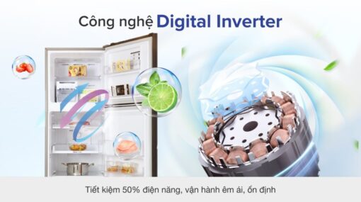 Tủ lạnh Samsung Inverter 256 lít RT25M4032BU/SV