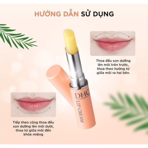 Son dưỡng DHC Color Lip Cream 04106 - Hình ảnh 4