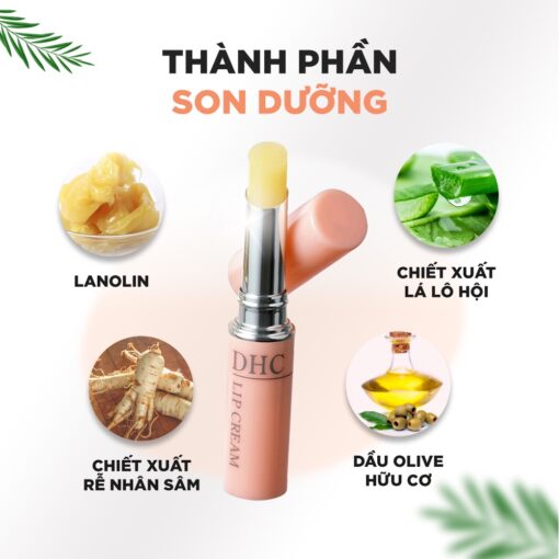 Son dưỡng DHC Color Lip Cream 04106 - Hình ảnh 7