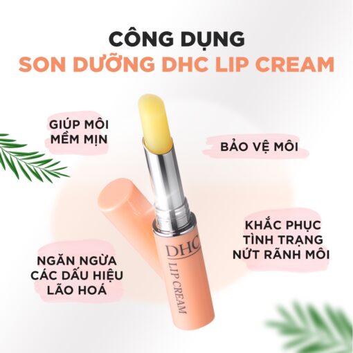Son dưỡng DHC Color Lip Cream 04106 - Hình ảnh 8