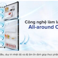 Tủ lạnh Samsung Inverter 256 lít RT25M4032BU/SV