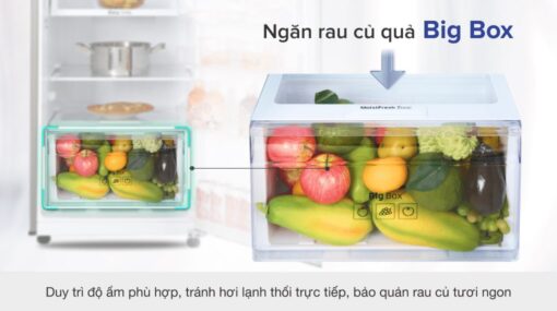 Tủ lạnh Samsung Inverter 256 lít RT25M4032BU/SV