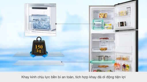 Tủ lạnh Samsung Inverter 256 lít RT25M4032BU/SV