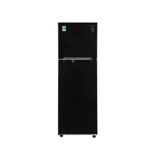 Tủ lạnh Samsung Inverter 256 lít RT25M4032BU/SV Đen giả gương