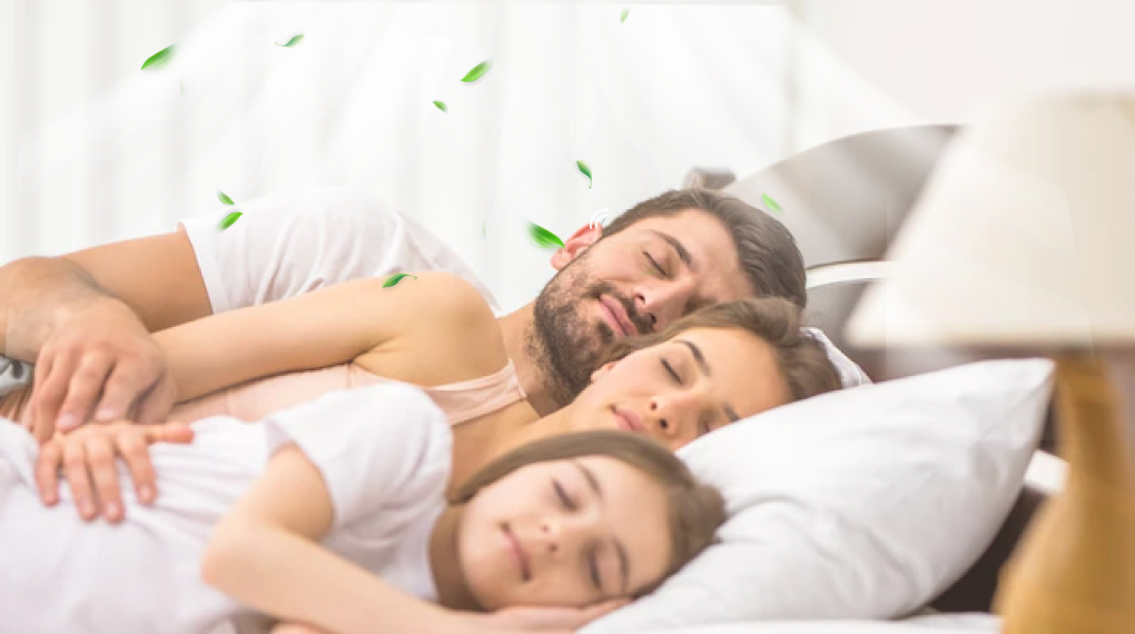 Điều hòa Funiki Inverter 1 HP HIC09TMU.ST3 - Chế độ ngủ Sleep