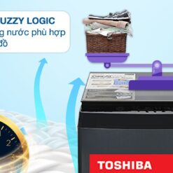 Máy giặt Toshiba Inverter 10 kg AW-DM1100PV(KK)