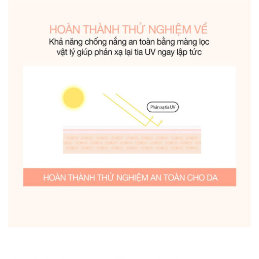 Kem Chống Nắng CELL FUSION C 100 SPF50+ PA +++ Hàn Quốc Dưỡng Trắng và Nâng Tone cho mọi loại da 50g - Hình ảnh 6