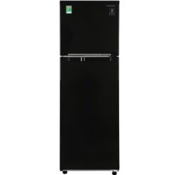 Tủ lạnh Samsung Inverter 256 lít RT25M4032BU/SV