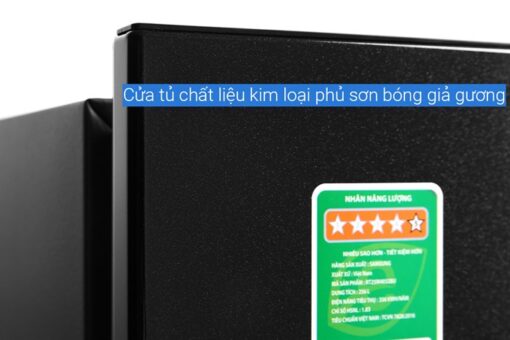 Tủ lạnh Samsung Inverter 256 lít RT25M4032BU/SV - Hình ảnh 13