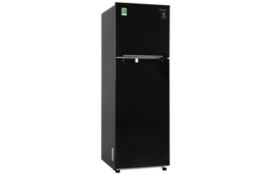 Tủ lạnh Samsung Inverter 256 lít RT25M4032BU/SV - Hình ảnh 3