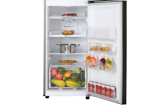 Tủ lạnh Samsung Inverter 256 lít RT25M4032BU/SV - Hình ảnh 7