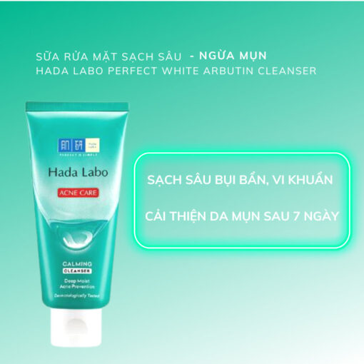 SRM Sữa Rửa Mặt Dưỡng Da Hada Labo 80g - Hình ảnh 8