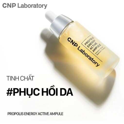 Tinh Chất Keo Ong Tái Tạo Phục Hồi Da CNP Laboratory Propolis Energy Active Ampule (Mẫu Mới) - Hình ảnh 3