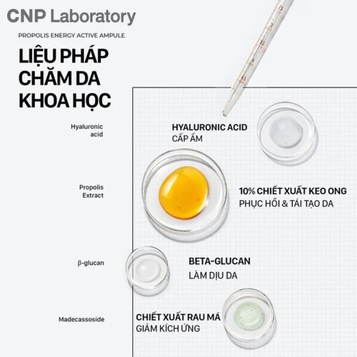 Tinh Chất Keo Ong Tái Tạo Phục Hồi Da CNP Laboratory Propolis Energy Active Ampule (Mẫu Mới) - Hình ảnh 4