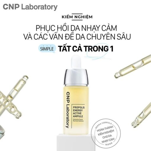 Tinh Chất Keo Ong Tái Tạo Phục Hồi Da CNP Laboratory Propolis Energy Active Ampule (Mẫu Mới) - Hình ảnh 5