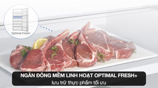 Tủ lạnh Samsung Inverter 305 lít RT31CG5424B1SV