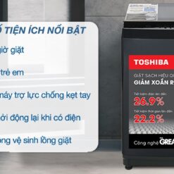 Máy giặt Toshiba Inverter 10 kg AW-DM1100PV(KK)
