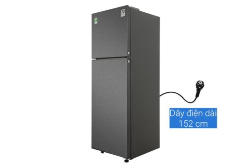 Tủ lạnh Samsung Inverter 305 lít RT31CG5424B1SV - Hình ảnh 3
