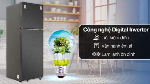 Tủ lạnh Samsung Inverter 305 lít RT31CG5424B1SV