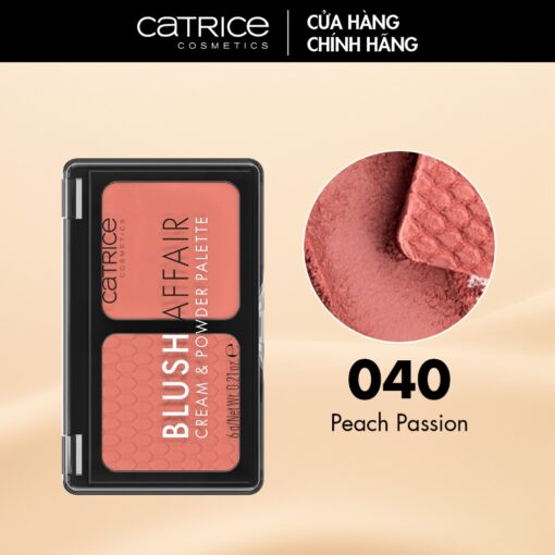 Bảng Má Hồng 2 ô Dạng Kem Và Phấn Catrice P4849 - Hình ảnh 2